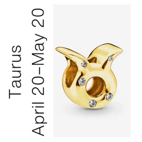 🌟 14K Gold Plated Sterling Silver Zodiac“Taurus” Charm